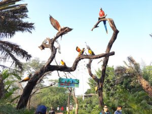 Chandigarh Birds Park