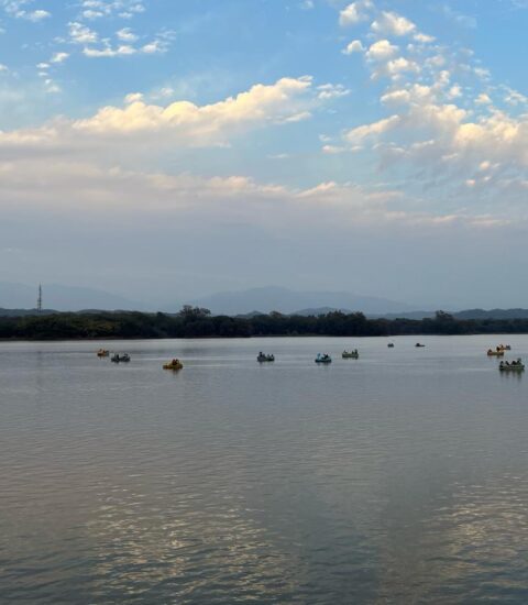 Sukhna-Lake-Chandigarh