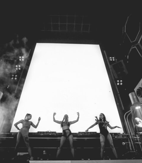 Playboy Club Chandigarh