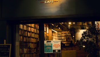 The Hedgehog Cafe, Chandigarh