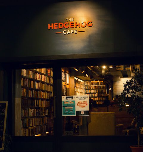 The Hedgehog Cafe, Chandigarh
